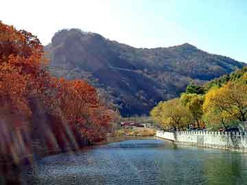 管家婆黑白马报图库，木马免杀